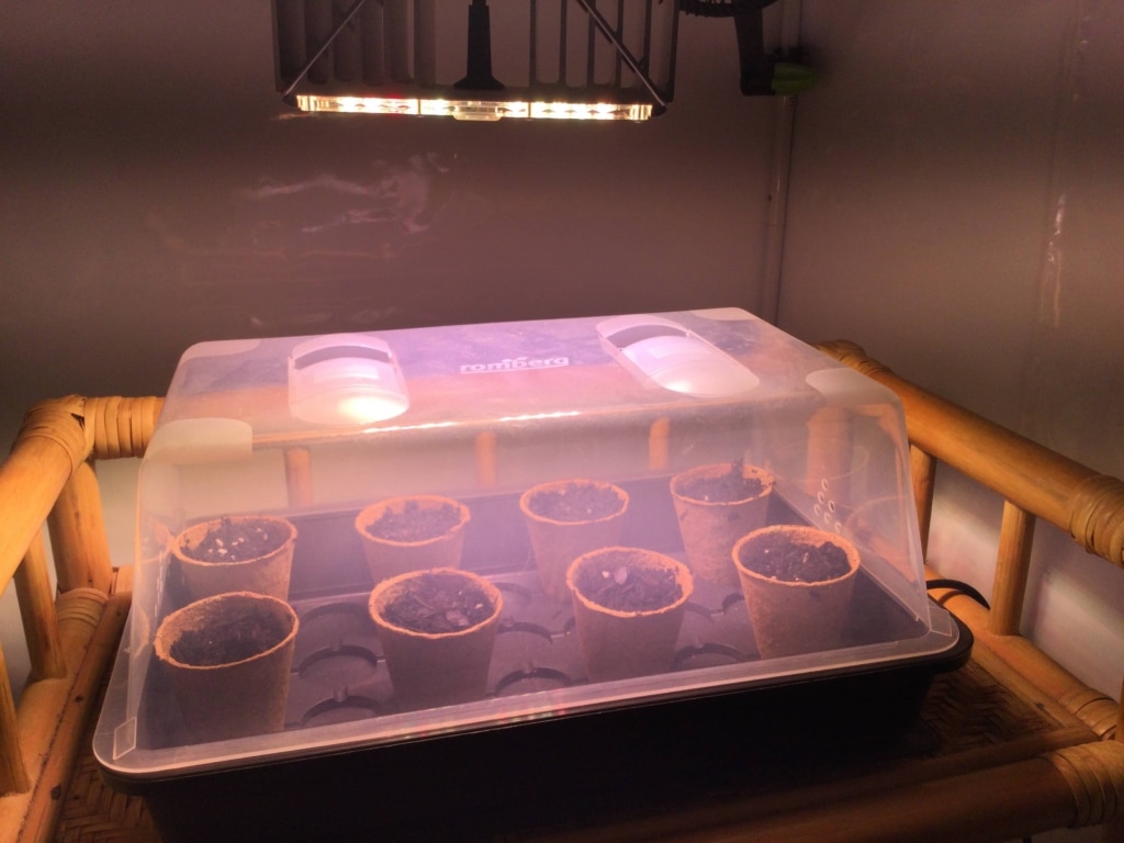 Mini-Gewächshaus mit Kunstlicht