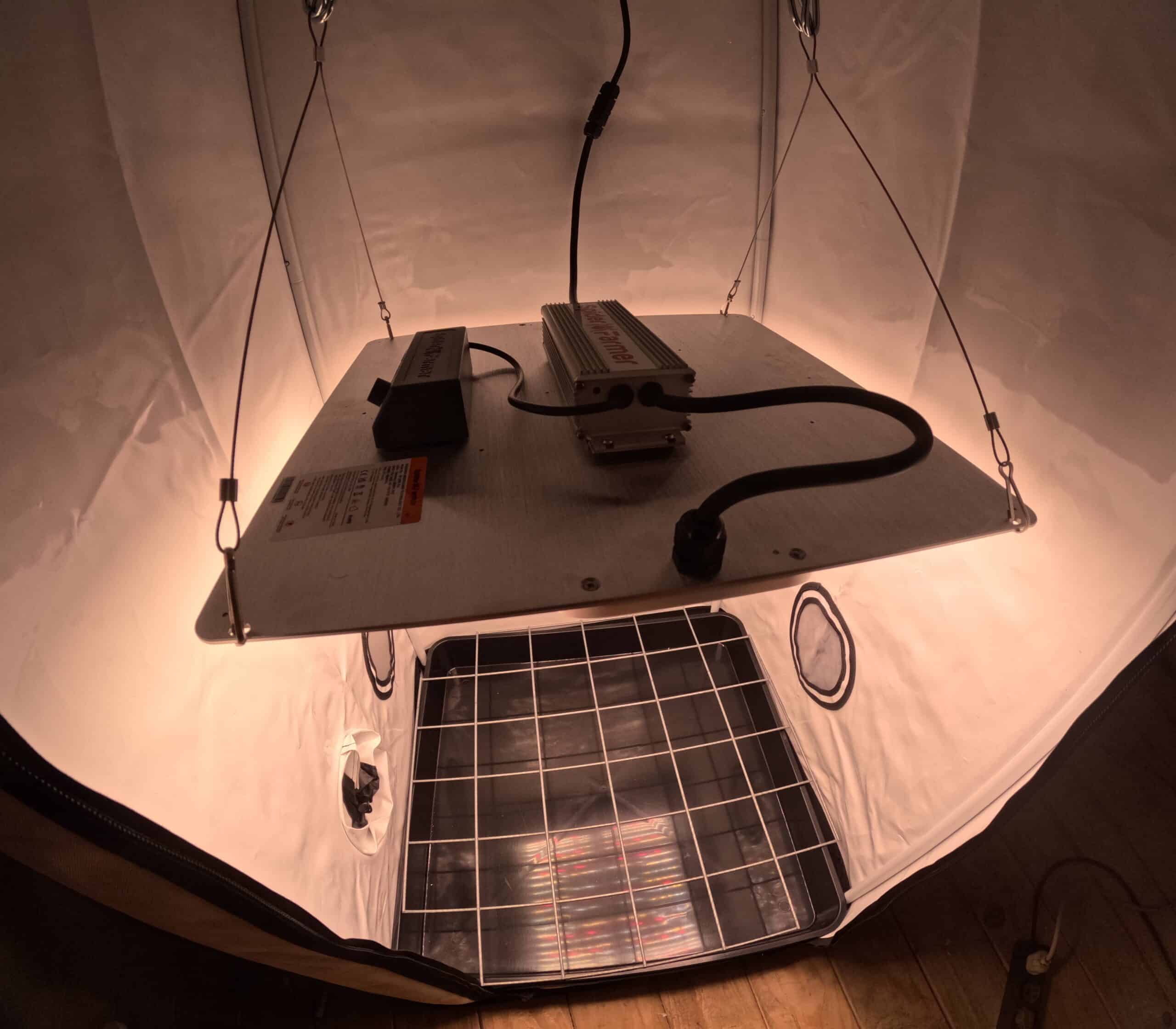 SF2000-SpiderFarmer-10 Spider Farmer SF 2000 Pro