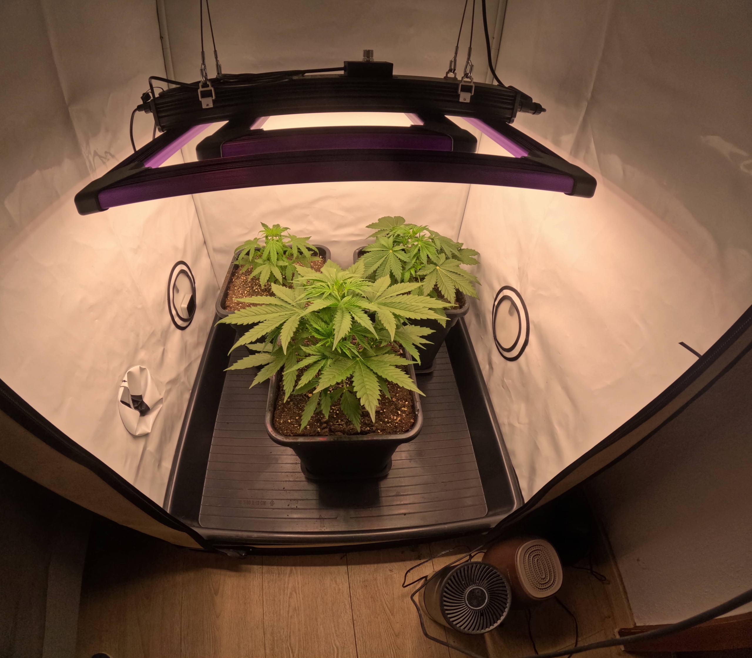 Meine Erfahrungen: Lumatek ATS 200W Pro im Test